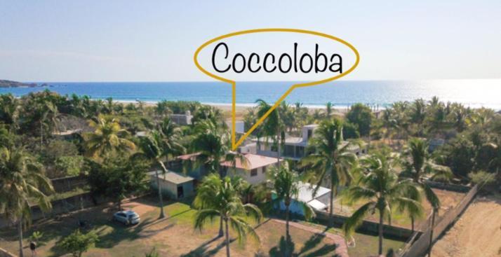 Coccoloba Guest House プエルト・エスコンディード エクステリア 写真
